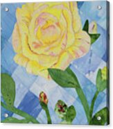 Yellow Rose Of Texas 3 Acrylic Print