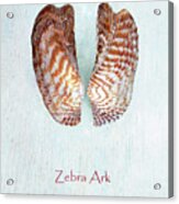 Zebra Ark Acrylic Print