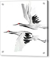 Zen Crane Ii Acrylic Print