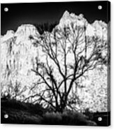 Zion National Park, Infrared Acrylic Print