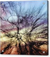 Zoom Burst Sunset Trees Acrylic Print