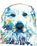 https://render.fineartamerica.com/images/rendered/small/angle/puzzle/images/artworkimages/medium/3/colorful-great-pyrenees-dog-art-sharon-cummings-sharon-cummings-transparent.png?&targetx=-41&targety=0&imagewidth=833&imageheight=1000&modelwidth=750&modelheight=1000&backgroundcolor=FDFDFC&orientation=1&producttype=puzzle-18-24