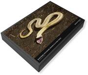 Eastern Hognose Snake Playing Dead iPhone 13 Case by John Mitchell