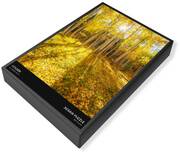 Gold Photos Jigsaw Puzzles