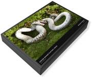 Grass Snake Playing Dead Jigsaw Puzzle by M. Watson - Pixels Puzzles
