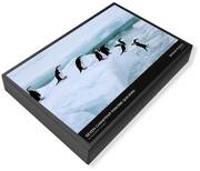 Chinstrap Penguin Jigsaw Puzzles
