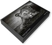 African Male Lion Jigsaw Puzzles