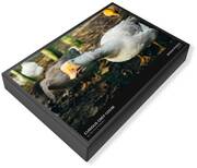 Domestic Geese Jigsaw Puzzles