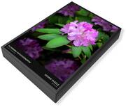 Rhododendron Catawbiense Jigsaw Puzzles