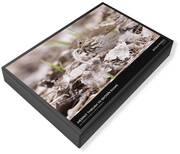 Brown Snake Jigsaw Puzzles