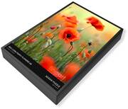 Spring Photos Jigsaw Puzzles