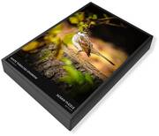 White Throated Sparrow Jigsaw Puzzles