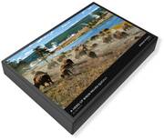 National Parks Jigsaw Puzzles