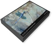 Black Skimmers Jigsaw Puzzles