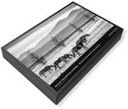 Black And White Horse Jigsaw Puzzles