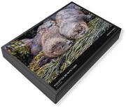 Lontra Canadensis Jigsaw Puzzles
