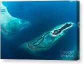 Above Paradise #1 Canvas Print