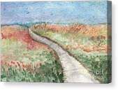 Beach Path Canvas Print