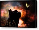 Black Cat Observes a Butterfly Canvas Print