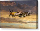 P-51 Ferocious Frankie Canvas Print P-51 Ferocious Frankie Canvas Print