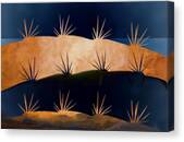 Baja Landscape Number 1 Canvas Print