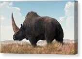 Elasmotherium Canvas Print by Daniel Eskridge