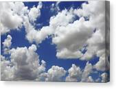 Cypress Clouds Canvas Print