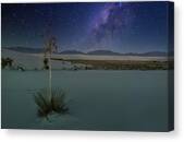 January 2025 Yucca And Galactic Center Canvas Print