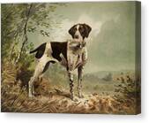 Hunting Dog Circa 1879 Canvas Print