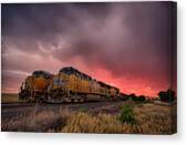 In Waiting Canvas Print by Thomas Zimmerman