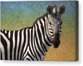 Portrait Of A Zebra Canvas Print