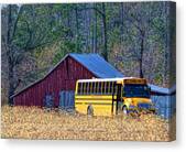 Out Of Place Canvas Print