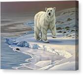 Polar Bear On Icy Shore Canvas Print