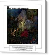 Where The Red Fern Grows Canvas Print