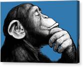 Chimpanzee in Thoughtful Pose Canvas Print
