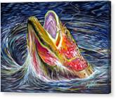 Vibrant Fish Leaping Out of Water Canvas Print by Teshia Art