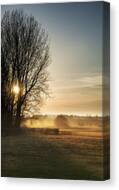Beautiful Sunset Landscape Shining Through Trees Onto Beautifull #1 Canvas Print by Matthew Gibson
