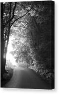 Path Through a Serene Forest Canvas Print by Andrew Soundarajan