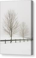 Two Trees And Fence In Winter Fog Canvas Print Two Trees And Fence In Winter Fog Canvas Print