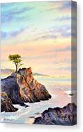 Lone Cypress Tree Pebble Beach Canvas Print