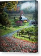 Untitled #2 Canvas Print