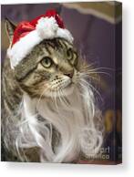 Santa Cat Canvas Print