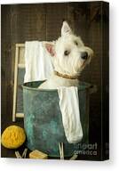 Wash Day Canvas Print