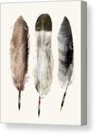 Little Feathers Canvas Print