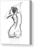 Untitled #3 Canvas Print by Chris N Rohrbach