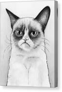Grumpy Cat Portrait Canvas Print
