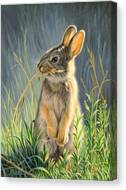 Highly Selective Canvas Print