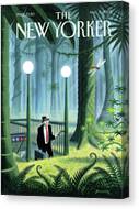 Businessman in a Mystical Jungle Canvas Print
