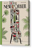 Shelf Life Canvas Print
