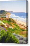 Spring View Of Torrey Pines Canvas Print